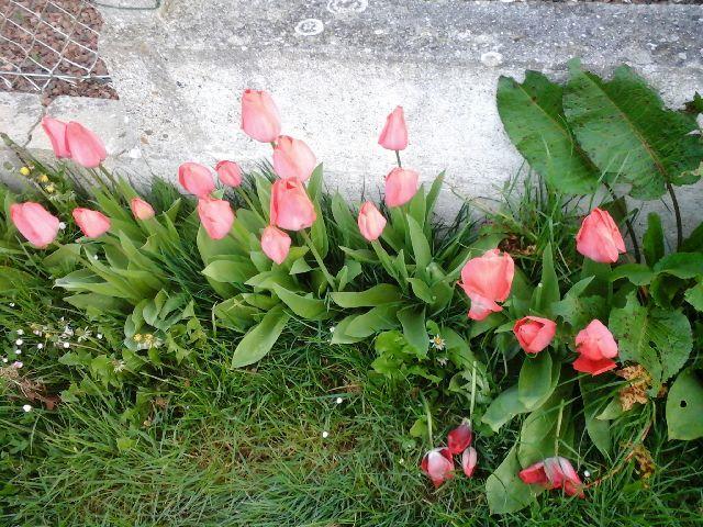 La Crielloise Vila Exterior foto